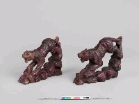 藏品(老虎)的圖片